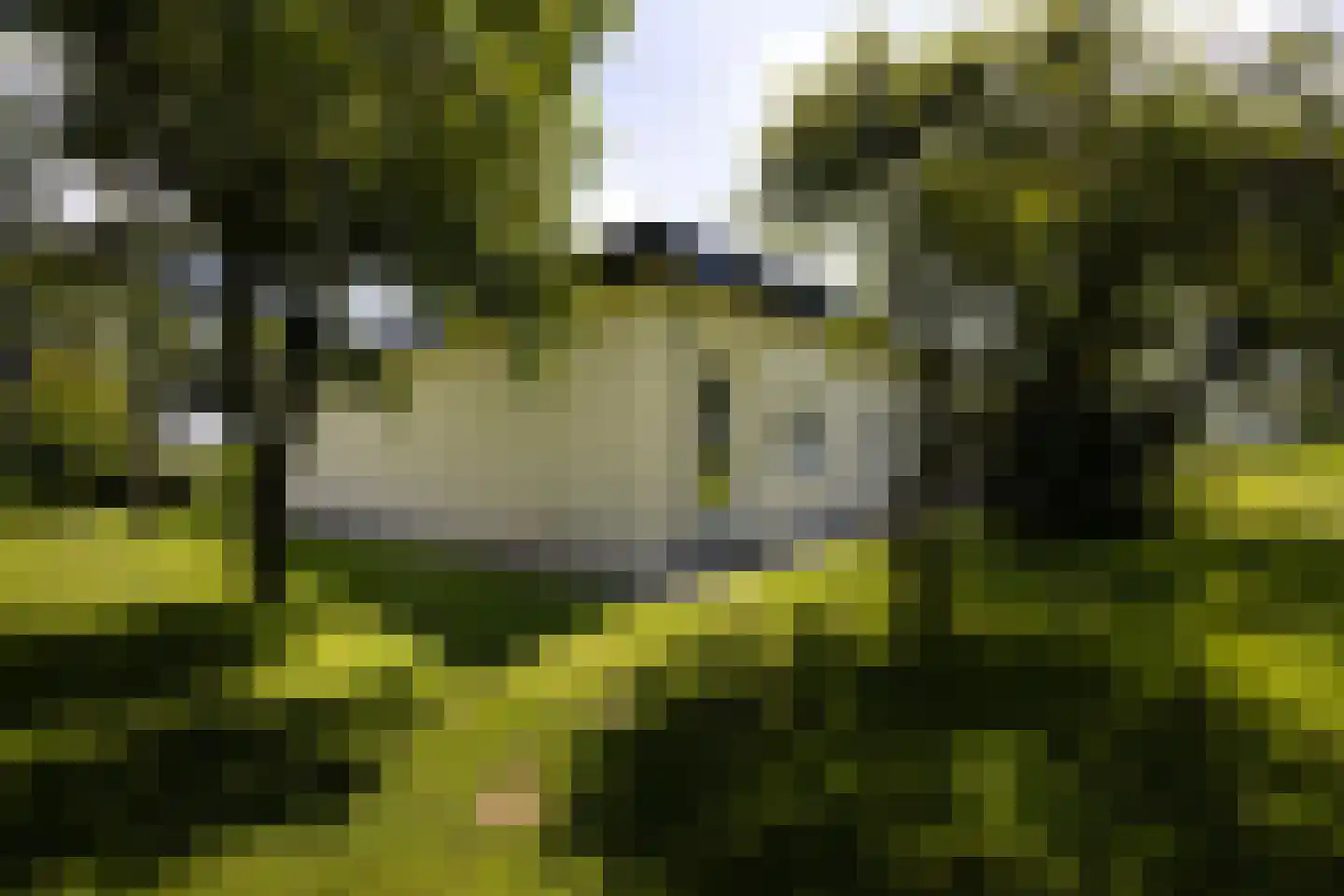 Papenslagweg 3 Lochem thumbnail 71