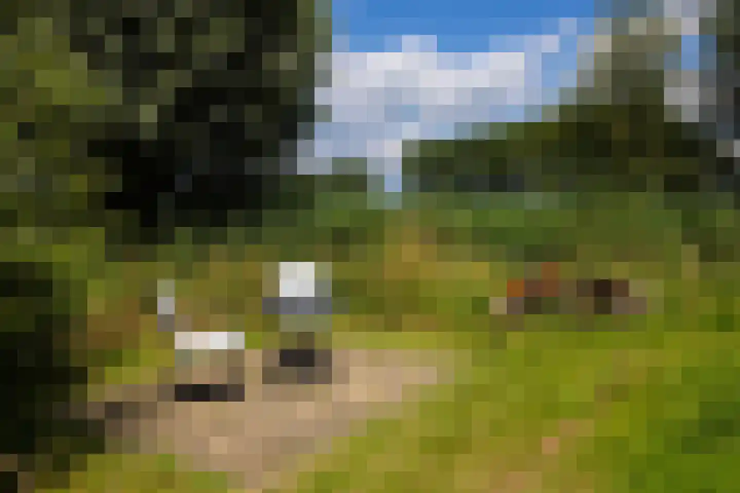 Papenslagweg 3 Lochem thumbnail 74