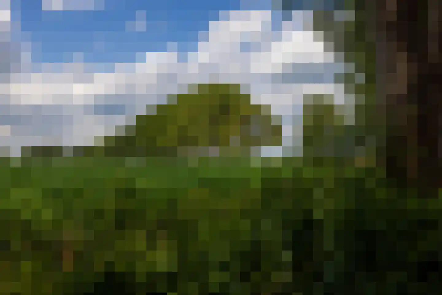 Papenslagweg 3 Lochem thumbnail 76