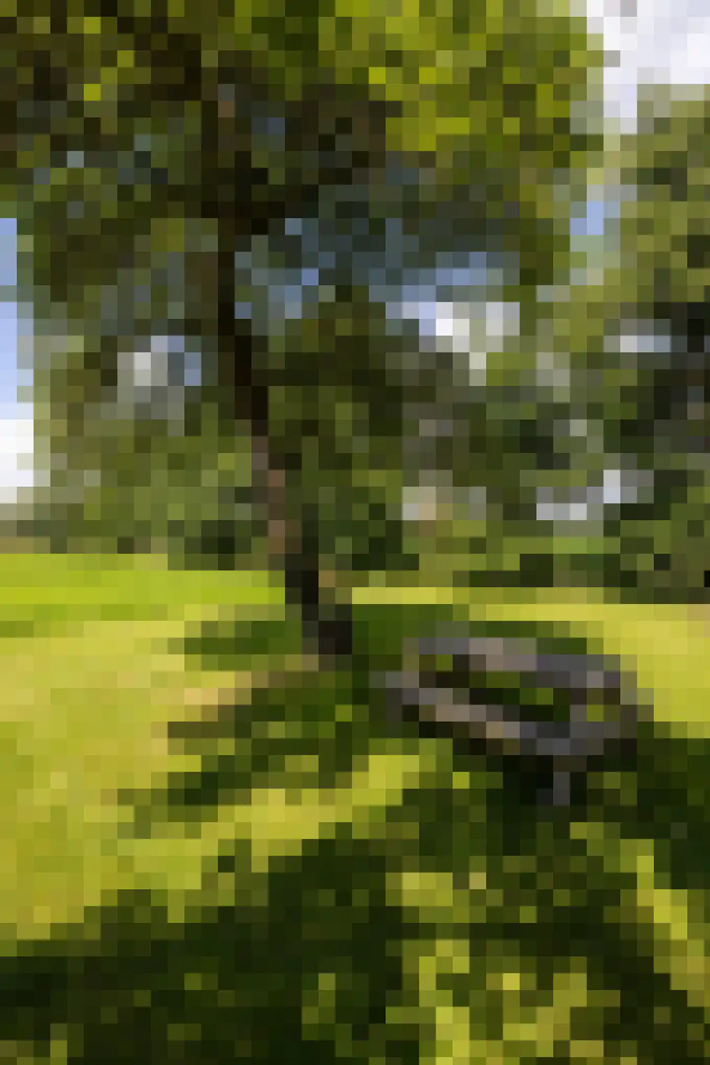 Papenslagweg 3 Lochem thumbnail 77