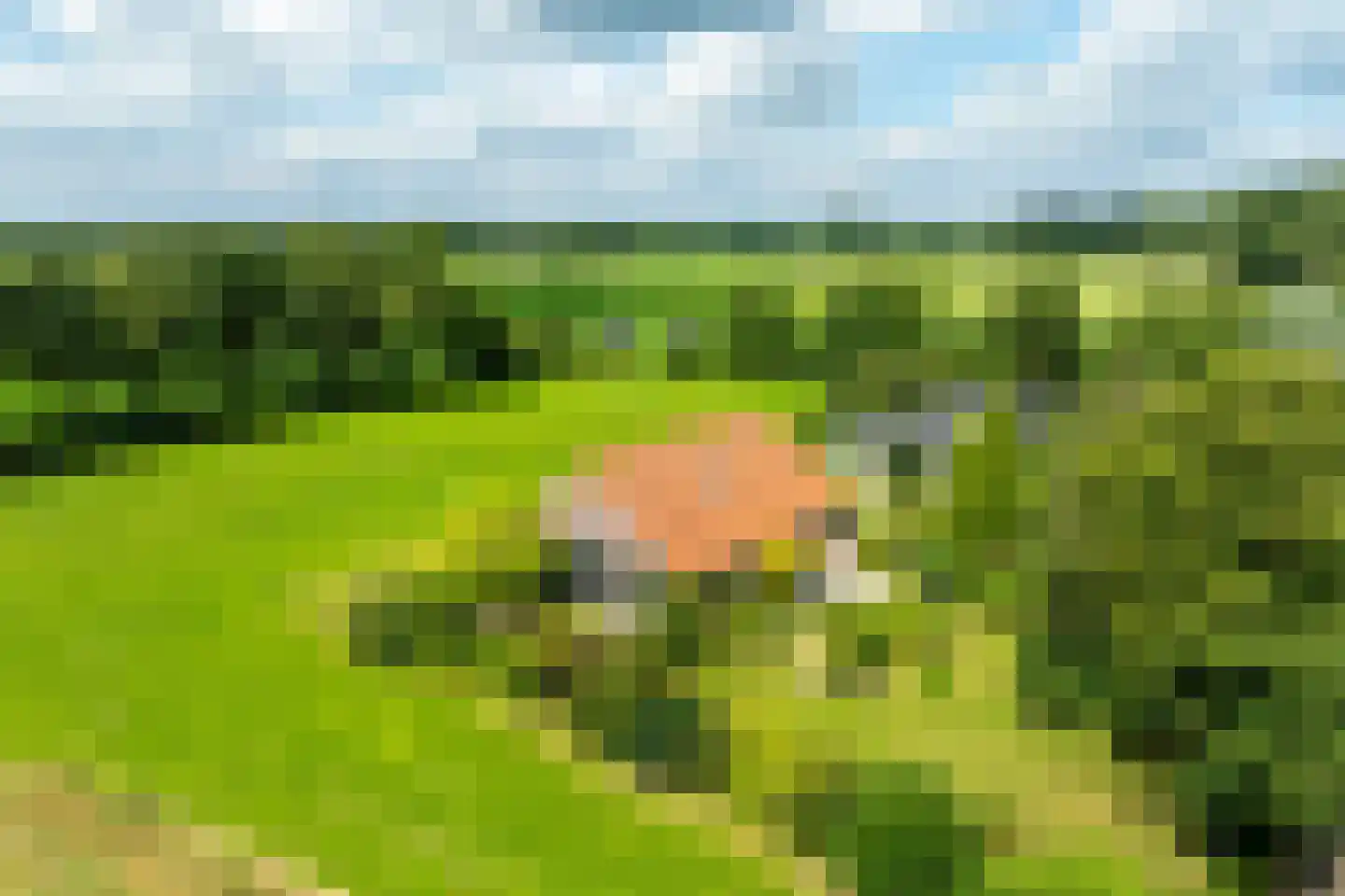 Papenslagweg 3 Lochem thumbnail 79