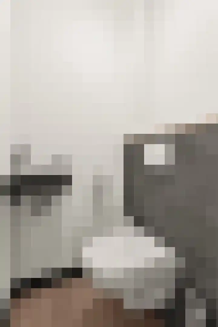 Papenstraat 12 Bemmel thumbnail 10