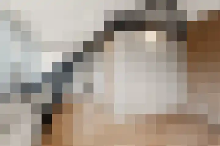 Papenstraat 12 Bemmel thumbnail 18