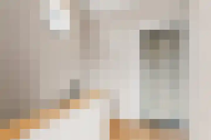 Papenstraat 12 Bemmel thumbnail 19