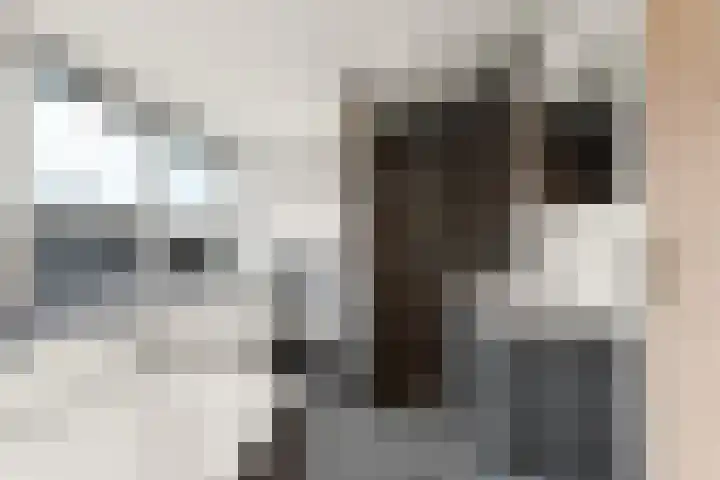 Papenstraat 12 Bemmel thumbnail 21