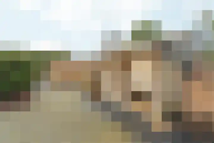 Papenstraat 12 Bemmel thumbnail 27