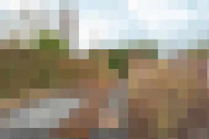 Papenstraat 12 Bemmel thumbnail 29