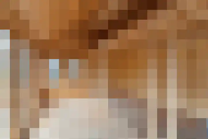 Papenstraat 12 Bemmel thumbnail 33