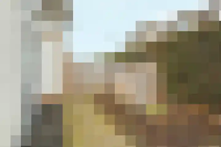 Papenstraat 12 Bemmel thumbnail 35