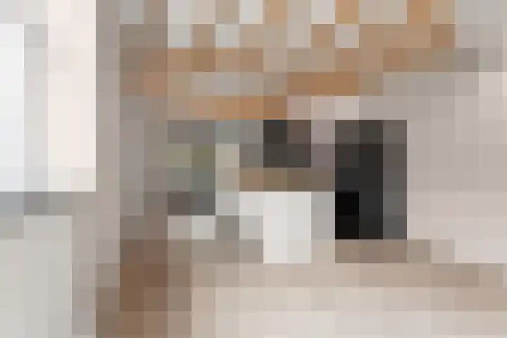 Papenstraat 12 Bemmel thumbnail 4