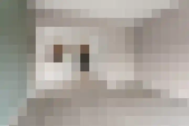 Papenstraat 12 Bemmel thumbnail 7
