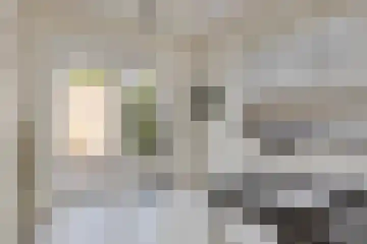 Papenstraat 12 Etten-Leur thumbnail 10