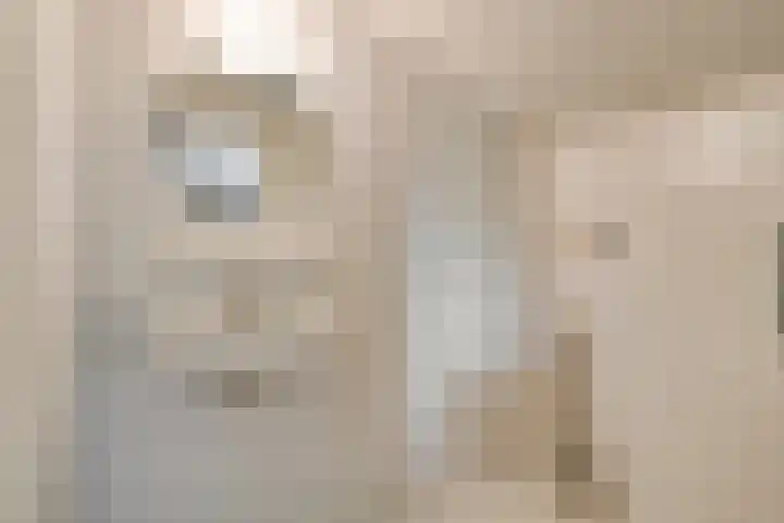 Papenstraat 12 Etten-Leur thumbnail 21