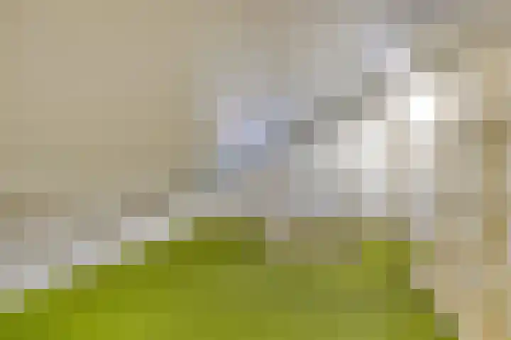 Papenstraat 12 Etten-Leur thumbnail 22