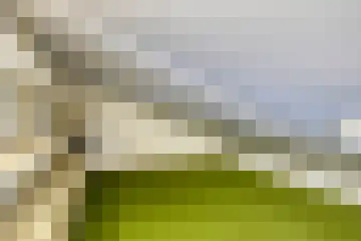 Papenstraat 12 Etten-Leur thumbnail 23