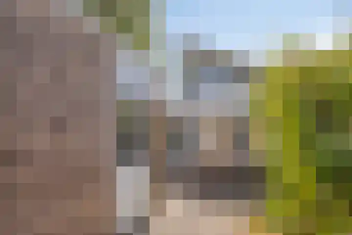 Papenstraat 12 Etten-Leur thumbnail 26