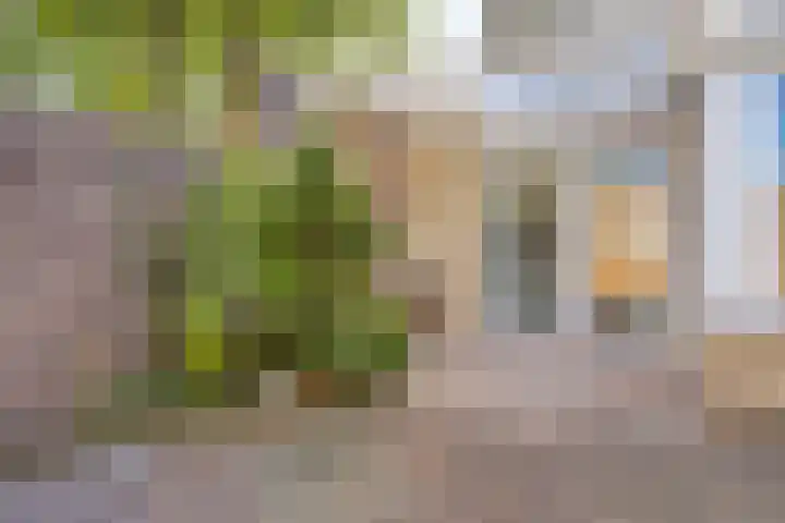 Papenstraat 12 Etten-Leur thumbnail 27