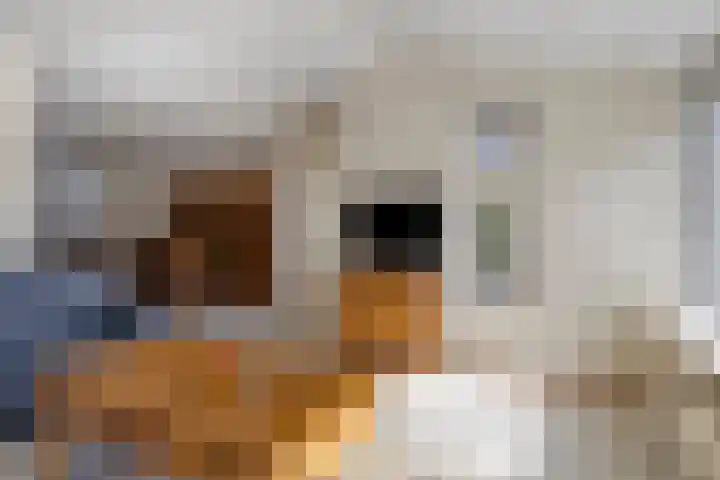 Papenstraat 12 Etten-Leur thumbnail 6
