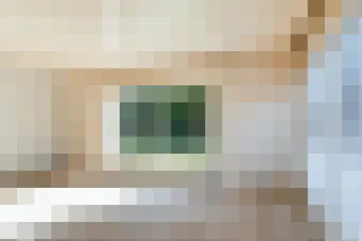 Papenstraat 12 I Epe thumbnail 14