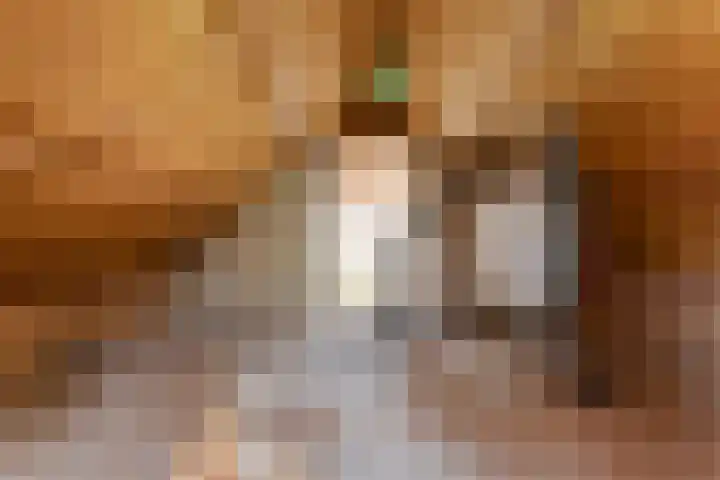 Papenstraat 12 I Epe thumbnail 23