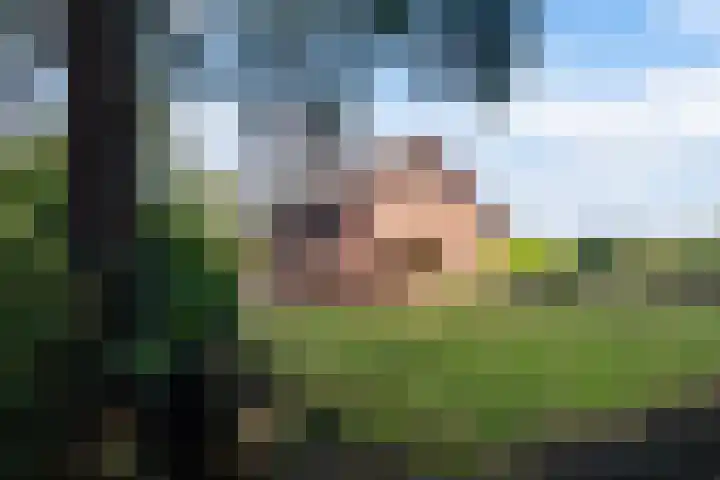 Papenstraat 12 I Epe thumbnail 25