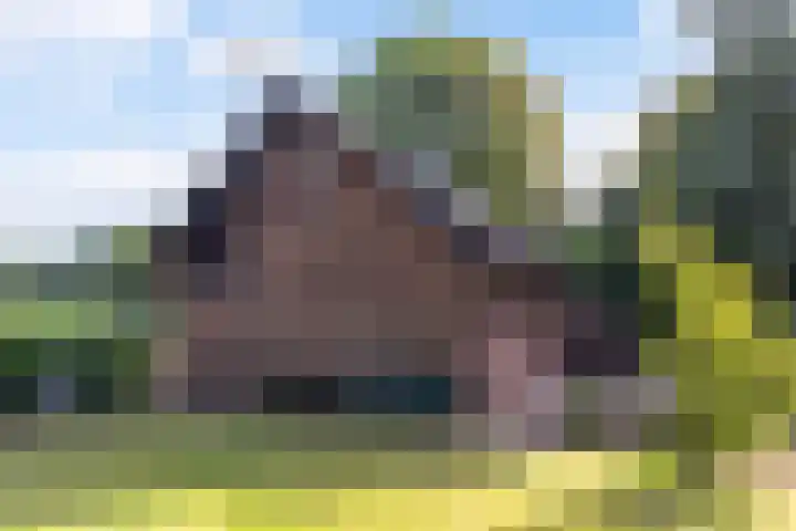 Papenstraat 12 I Epe thumbnail 26