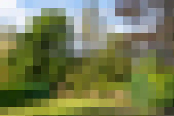 Papenstraat 12 I Epe thumbnail 27