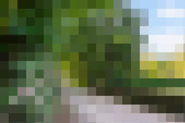 Papenstraat 12 I Epe thumbnail 28