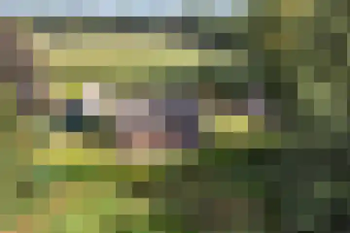 Papenstraat 12 I Epe thumbnail 29