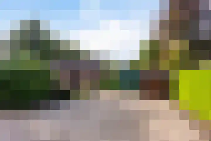 Papenstraat 12 I Epe thumbnail 4