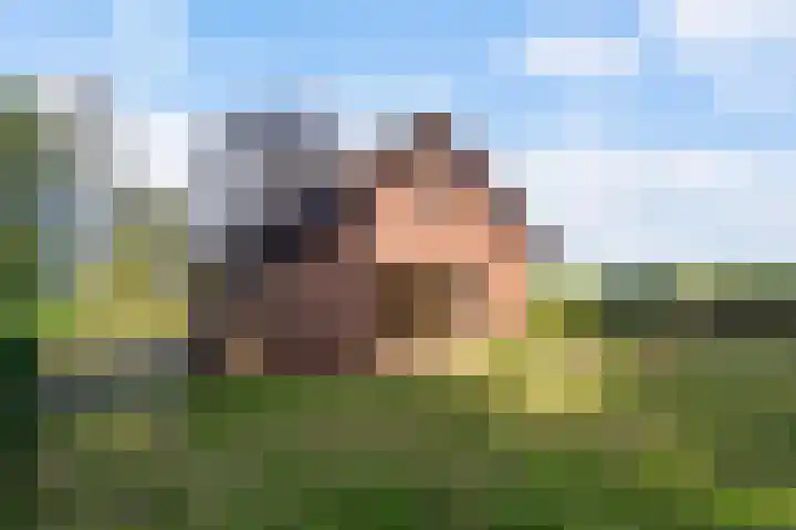 Papenstraat 12 I Epe thumbnail 5
