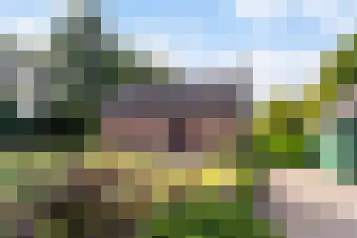 Papenstraat 12 I Epe thumbnail 6