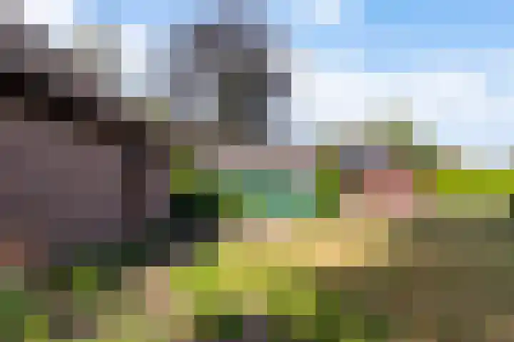 Papenstraat 12 I Epe thumbnail 7