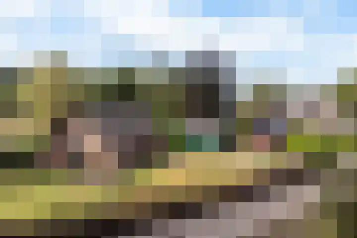 Papenstraat 12 I Epe thumbnail 8