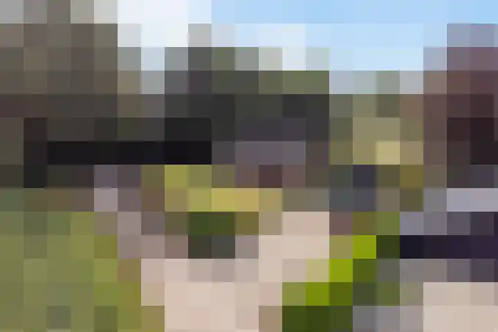 Papenstraat 12 I Epe thumbnail 9