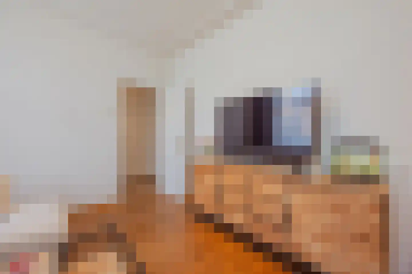 Papenstraat 14 Geertruidenberg thumbnail 10