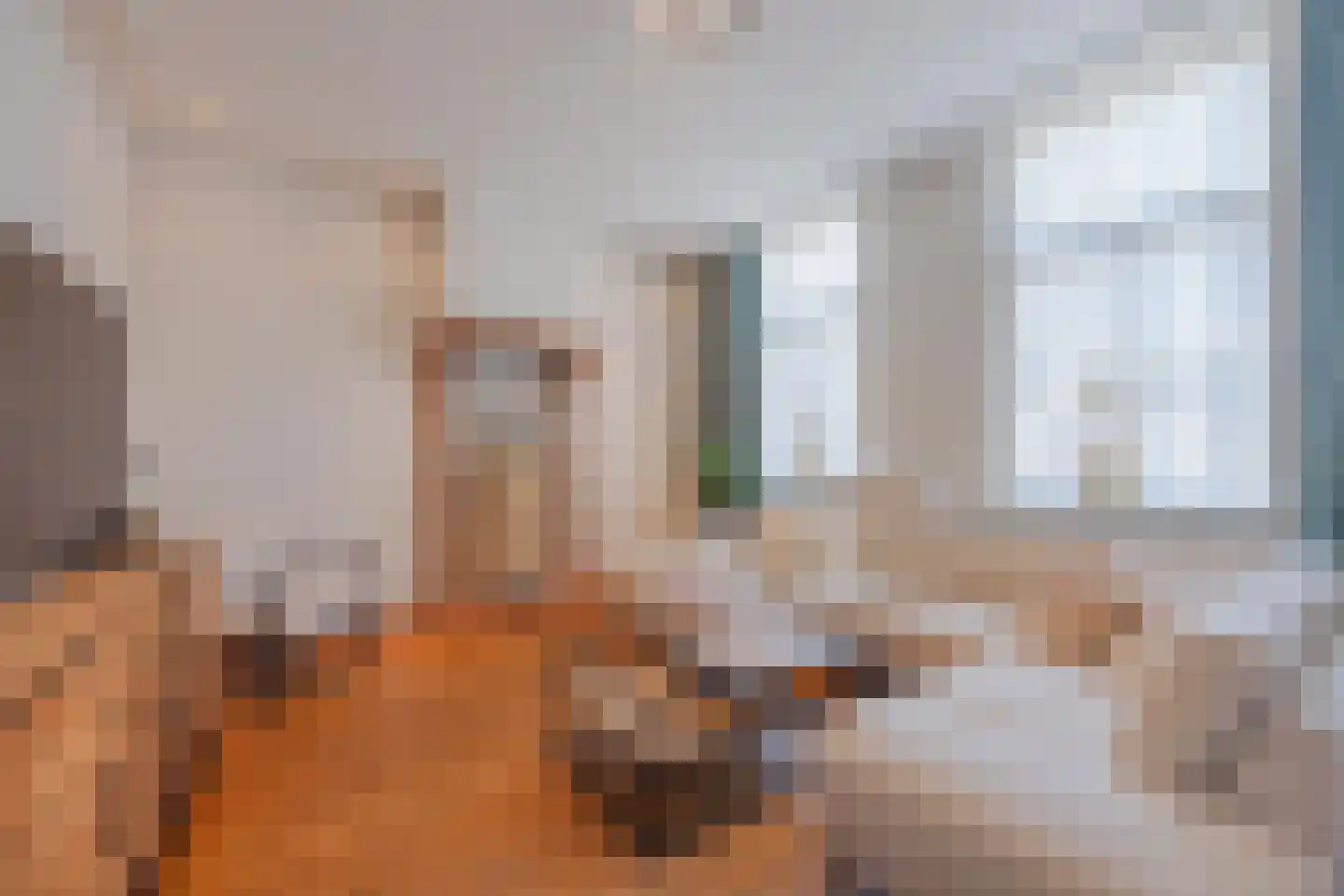 Papenstraat 14 Geertruidenberg thumbnail 11