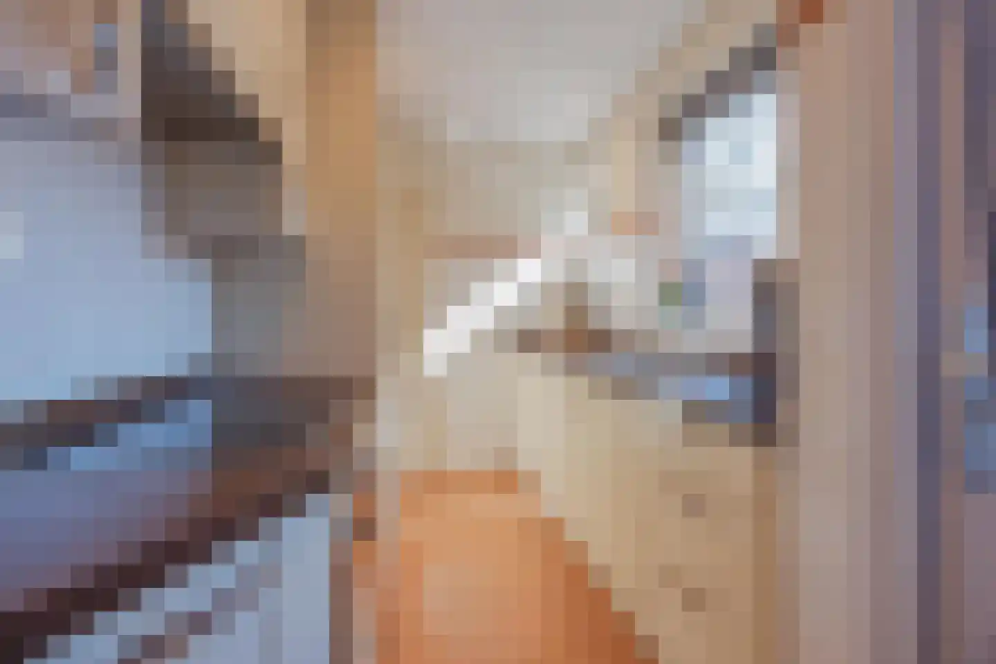 Papenstraat 14 Geertruidenberg thumbnail 16