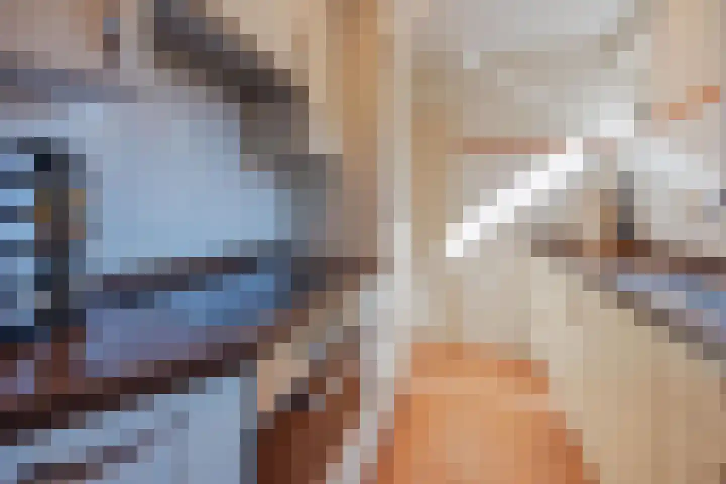 Papenstraat 14 Geertruidenberg thumbnail 17