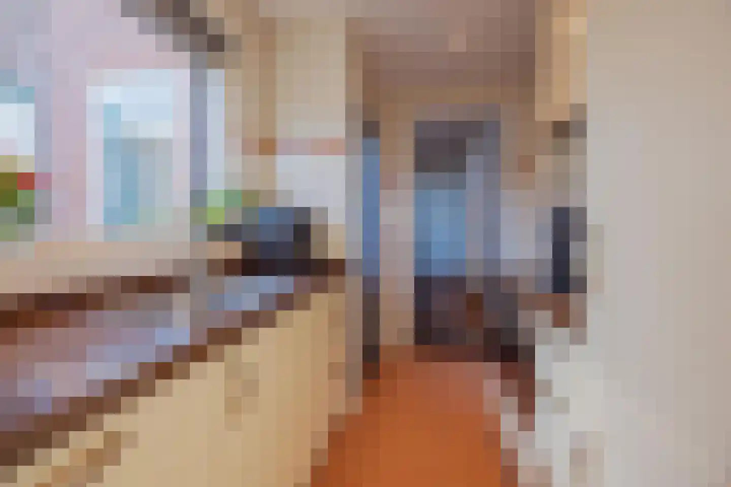 Papenstraat 14 Geertruidenberg thumbnail 18