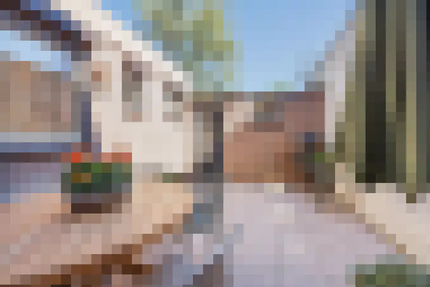Papenstraat 14 Geertruidenberg thumbnail 21