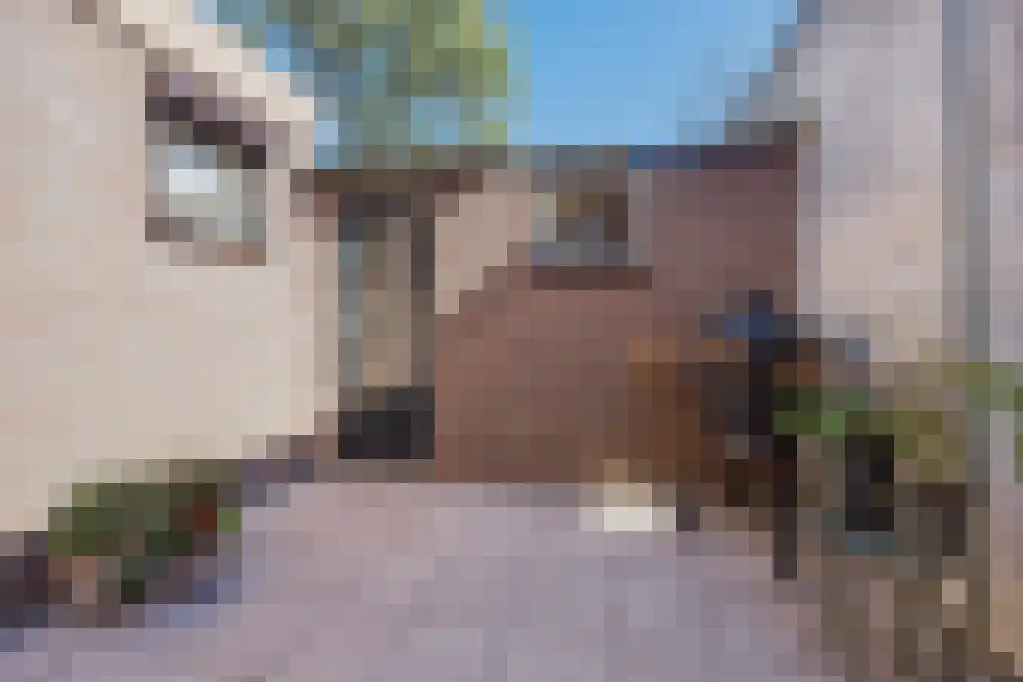 Papenstraat 14 Geertruidenberg thumbnail 22
