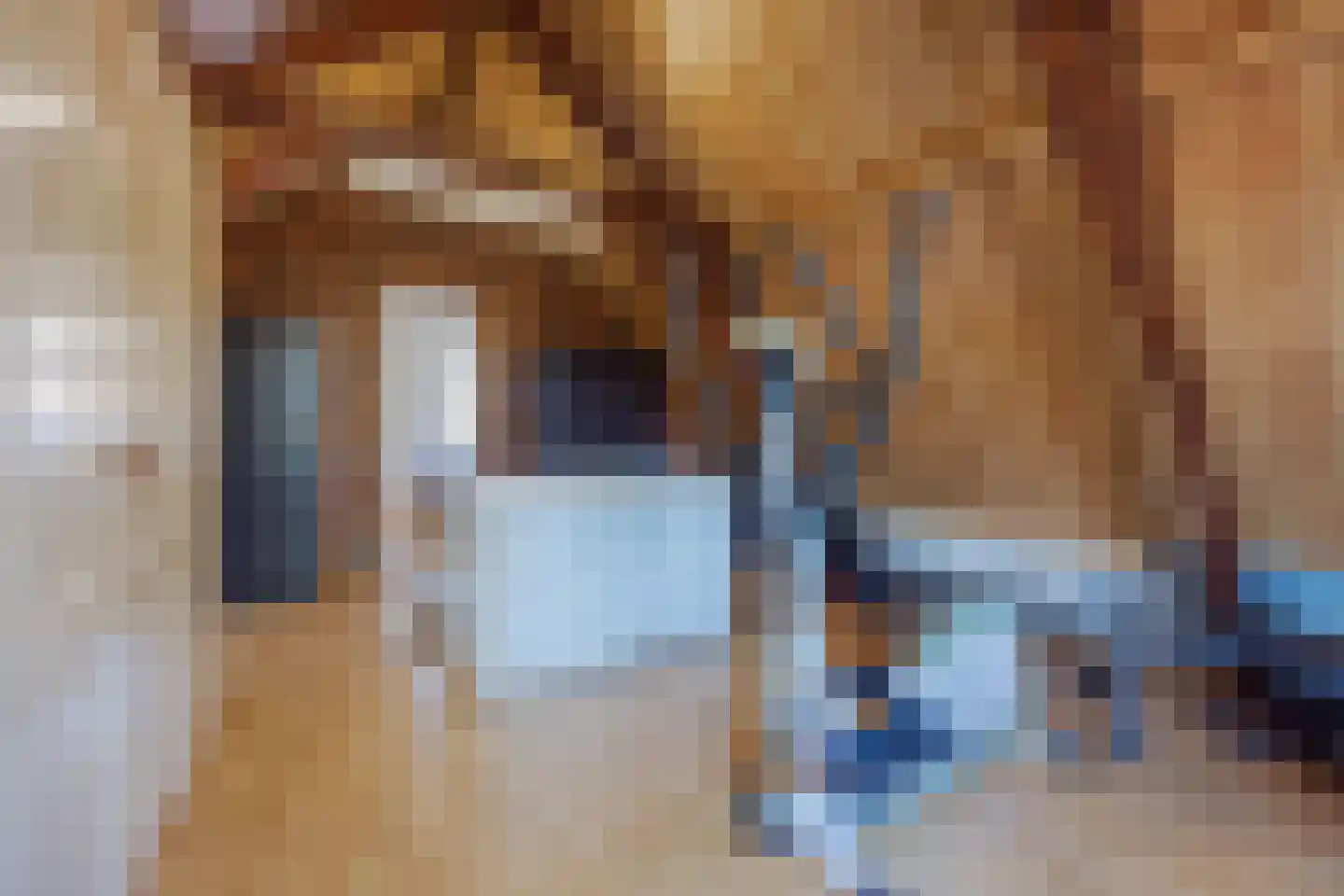 Papenstraat 14 Geertruidenberg thumbnail 25