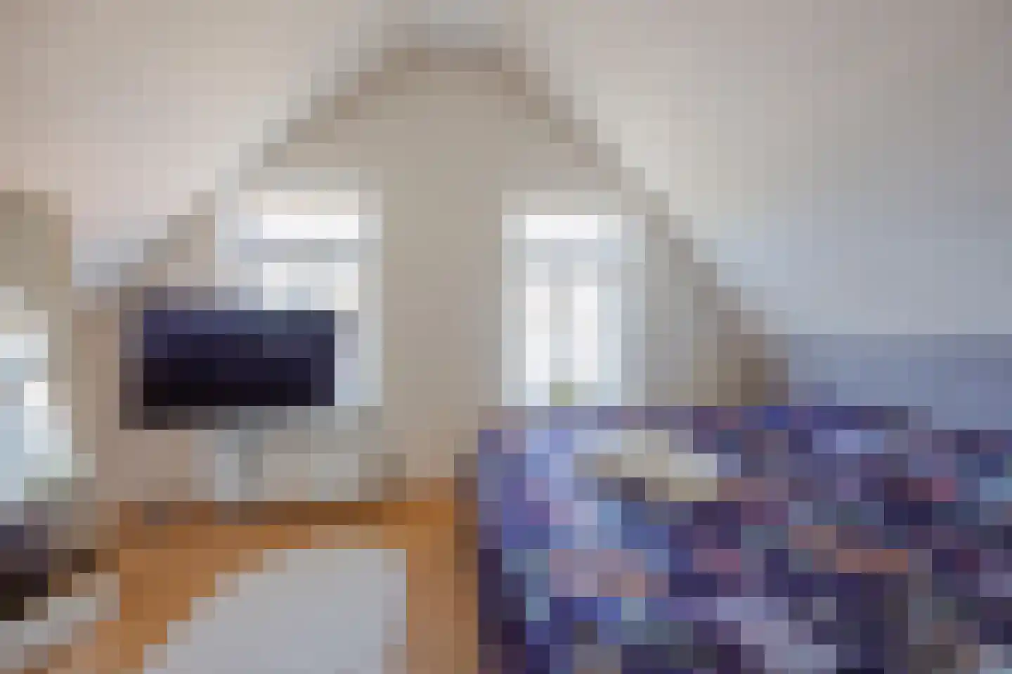 Papenstraat 14 Geertruidenberg thumbnail 26