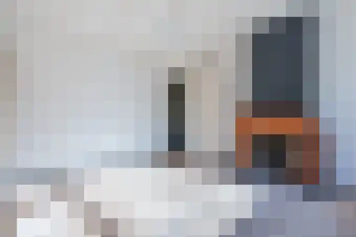 Papenstraat 17 Epe thumbnail 11