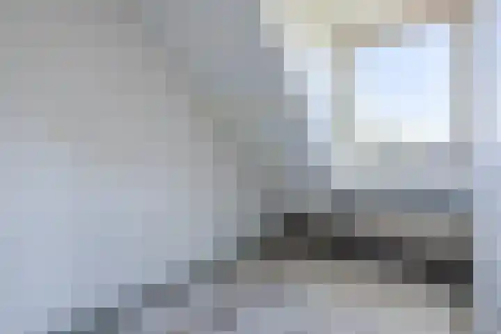 Papenstraat 17 Epe thumbnail 24