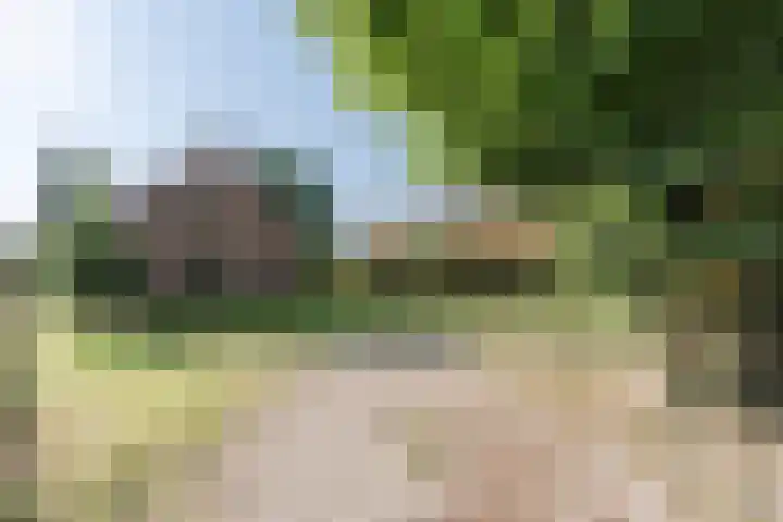 Papenstraat 17 Epe thumbnail 27