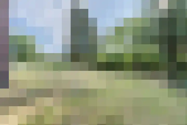 Papenstraat 17 Epe thumbnail 29