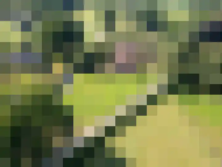 Papenstraat 17 Epe thumbnail 30