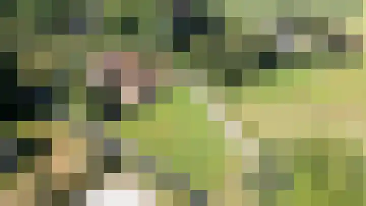 Papenstraat 17 Epe thumbnail 4